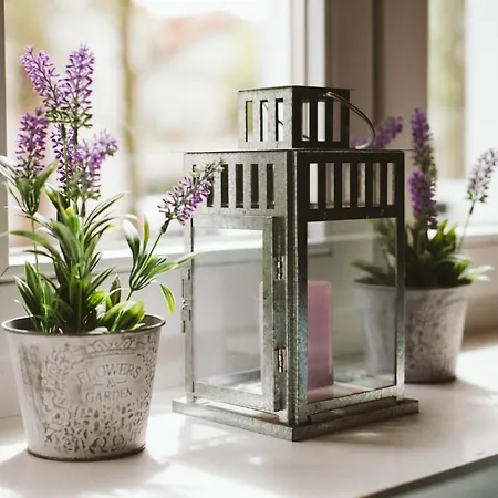 Apartament Kamienica Ogrodowa *