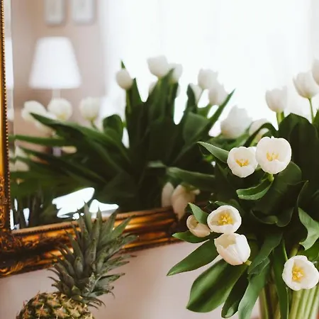 Kamienica Ogrodowa شقة سوبوت