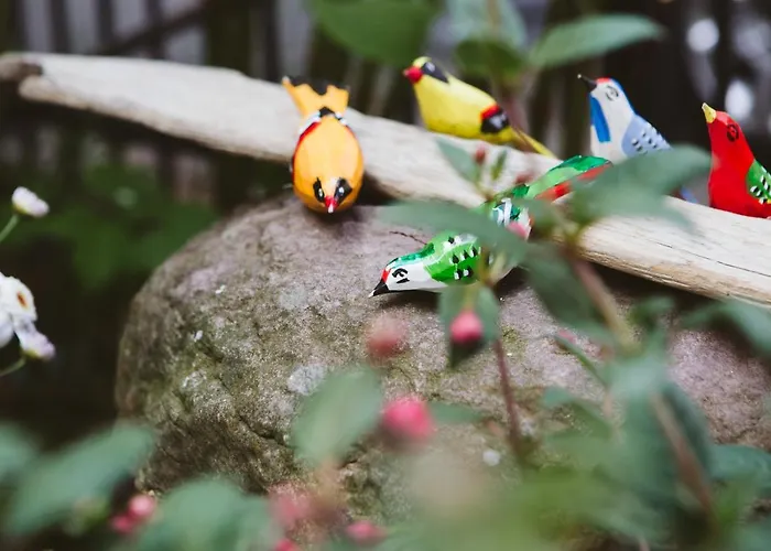 Kamienica Ogrodowa Apartamento Sopot