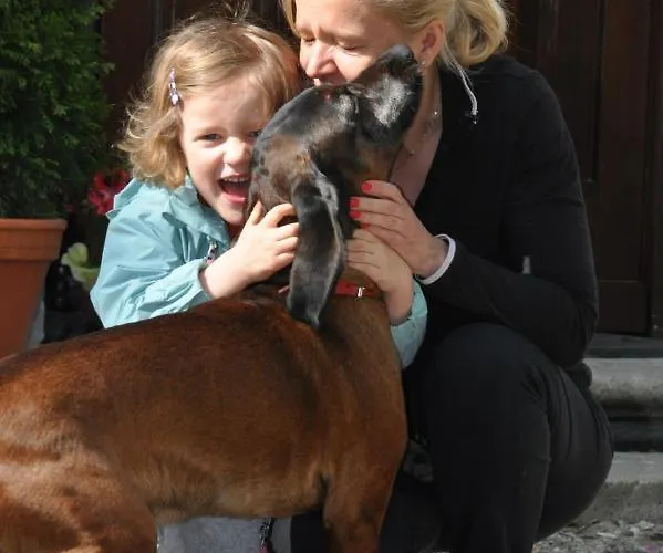 Kamienica Ogrodowa Apartamento *