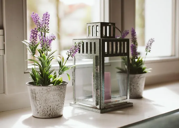 Apartamento Kamienica Ogrodowa *