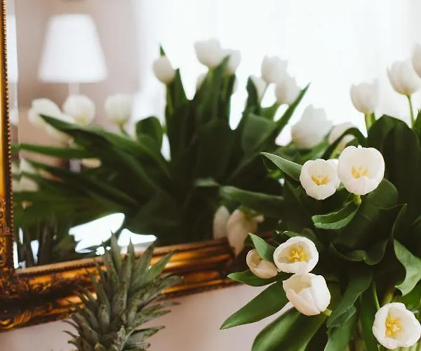 Kamienica Ogrodowa Apartamento Sopot